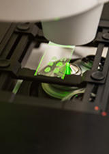 Brain-Machine Interfacing Technologies