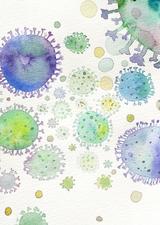 Microbiome