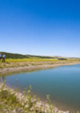 Lake landscape