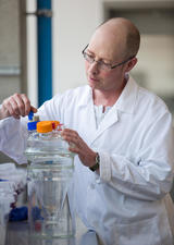 Researcher working