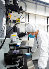 Paul Kubes at a microscope