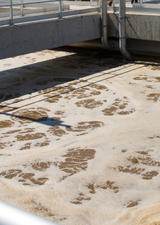 wastewater