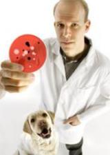 Dr. Scott Weese