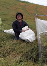 Hoang Lan Nguyen