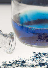 Grounded in UCalgary research, visionary startup aims for global blue dye market
