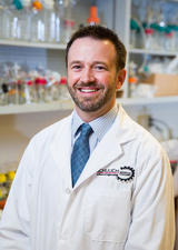 michael kallos