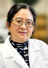 Dr. Leluo Guan