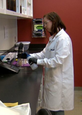 Lab activity at ACWA