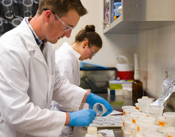 Students in lab