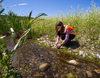 Researcher taking water samples