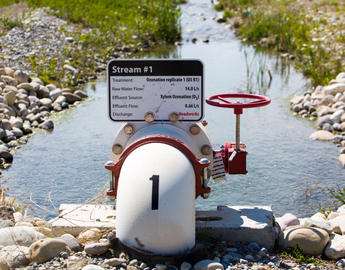 Pipe at stream